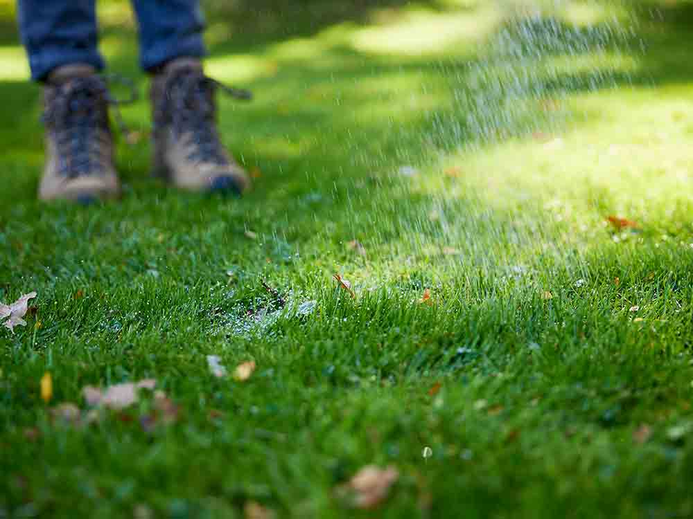 Die Grundlagen der Rasenpflege, Compo