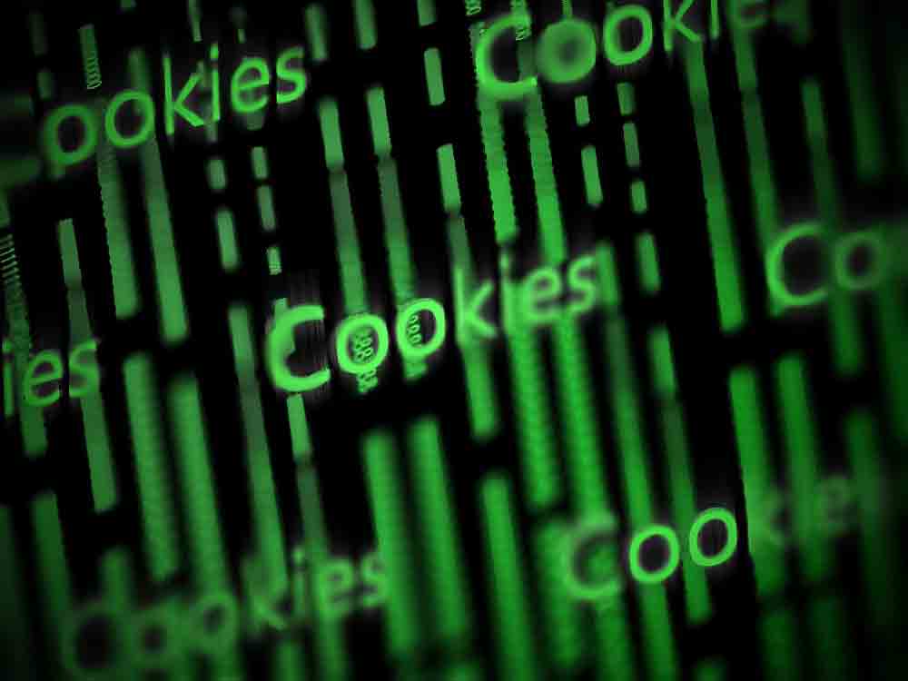 Whitepaper zu Cookie Bannern und Website Datenschutz, Delucks