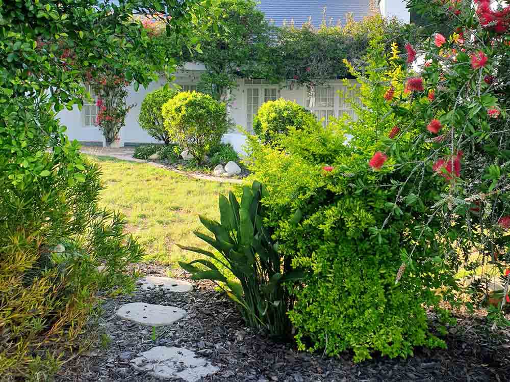Wie man einen pflegeleichten Garten mit Steinen und Splitt gestaltet