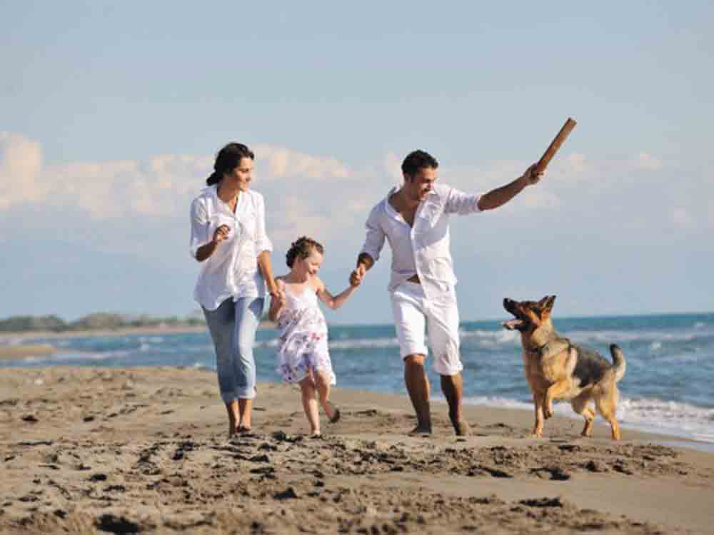 Umfrage: mit dem Vierbeiner in den Urlaub – die 3 größten Sorgen von Haustierbesitzern