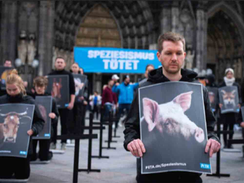 Größte Peta Aktion des Jahres – Speziesismus tötet! Tierrechtsorganisation demonstriert auf Kölner Domplatte