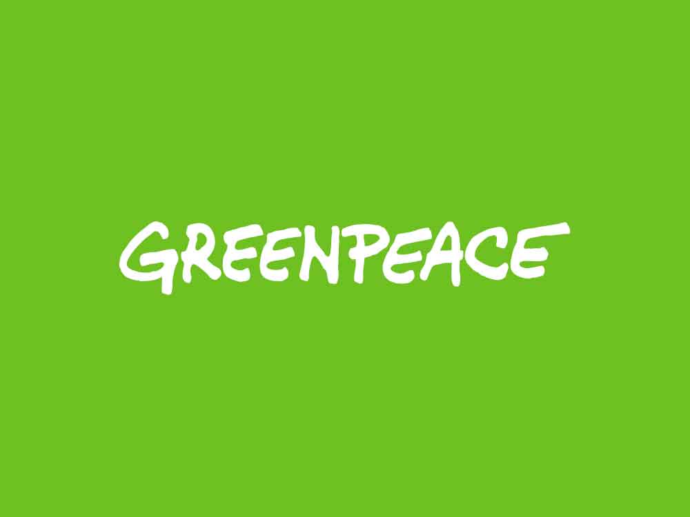 Greenpeace zu Hausdurchsuchungen bei der Letzten Generation, Stellungnahme