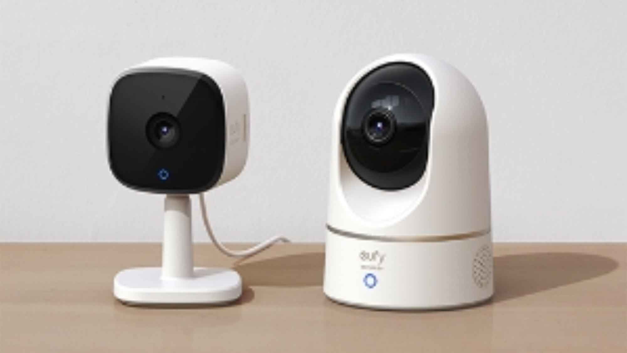 Indoor-Überwachungskamera: die Vorteile und der zukünftige Trend