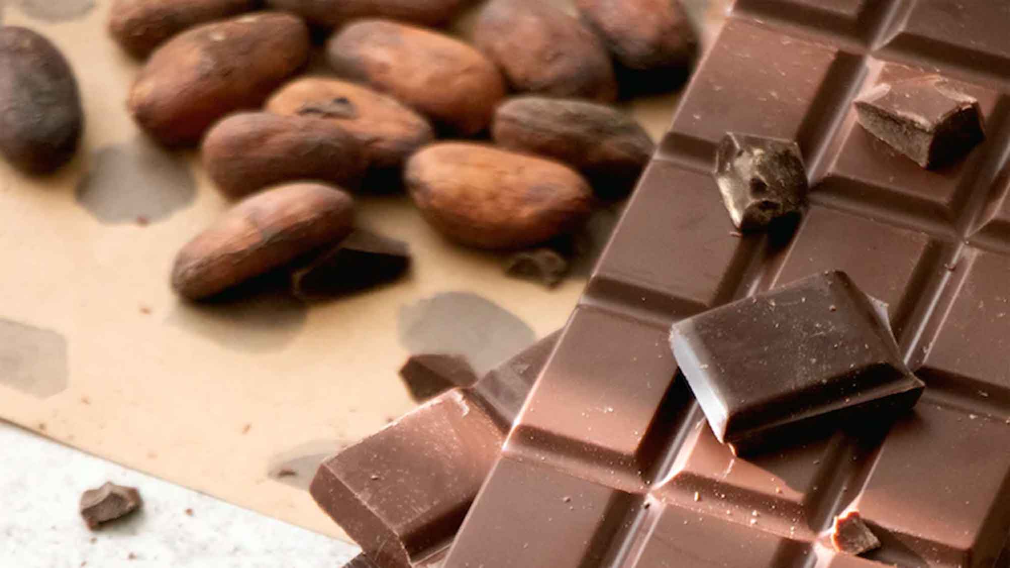 Fun Facts Schokolade: von der Kakaobohne als Währung, 1. Oktober ein besonderer Tag für Schokoladenliebhaber